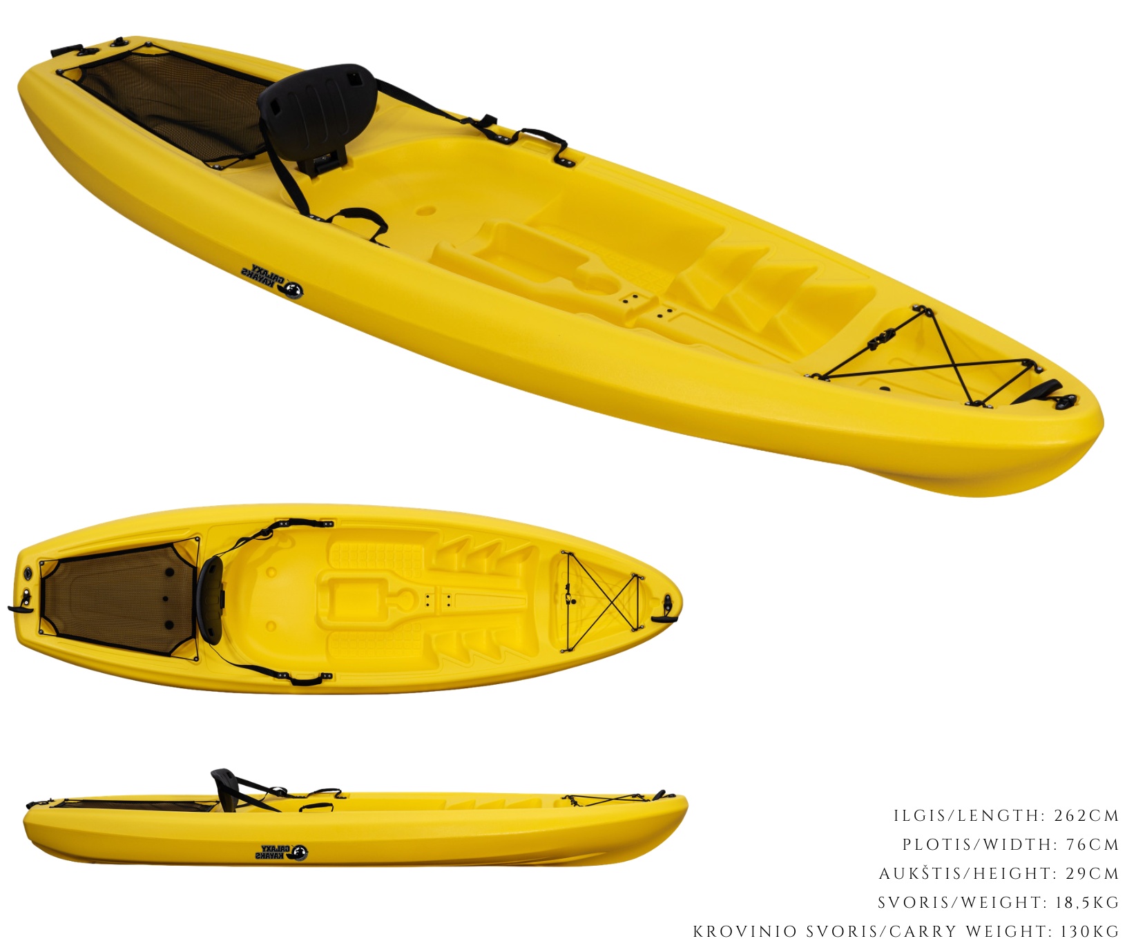 Reef Adult - Image 2