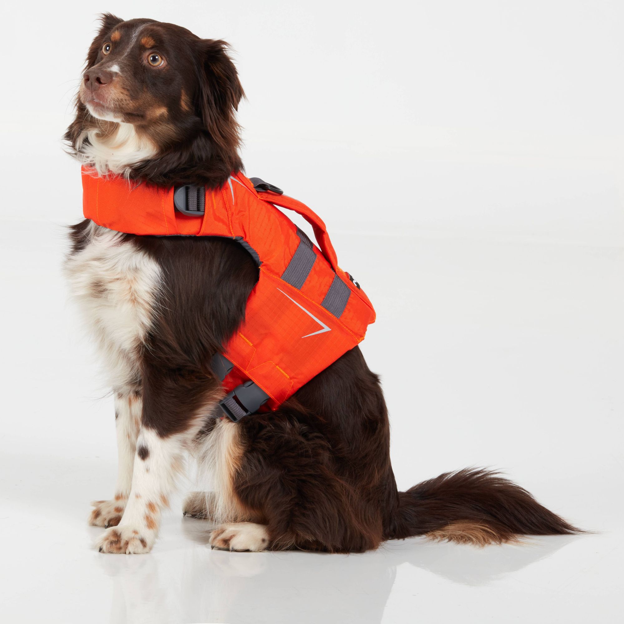 NRS CFD Dog Life Jacket - Image 8