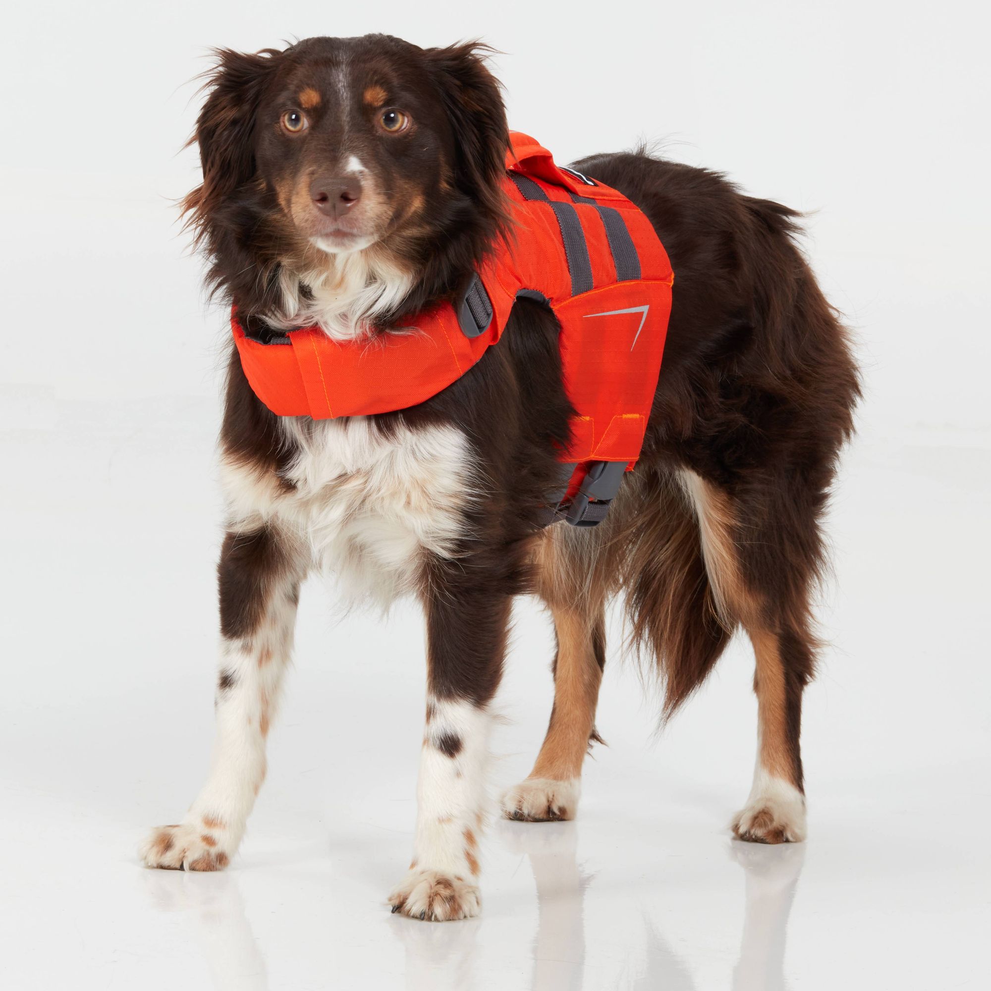 NRS CFD Dog Life Jacket - Image 9